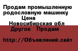 Продам промышленную родословную машинку . › Цена ­ 27 000 - Новосибирская обл. Другое » Продам   